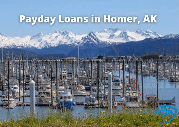 payday loans in homer